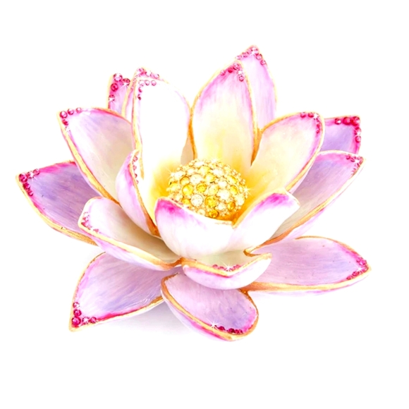 Jay - Picture 5 of 7